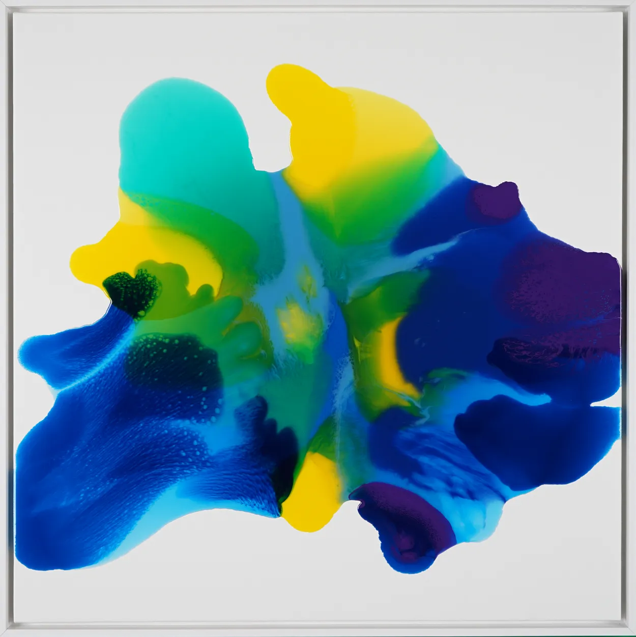 Featured Artist Orlanda Broom